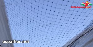 bird net installed on cropfield and greenhouse